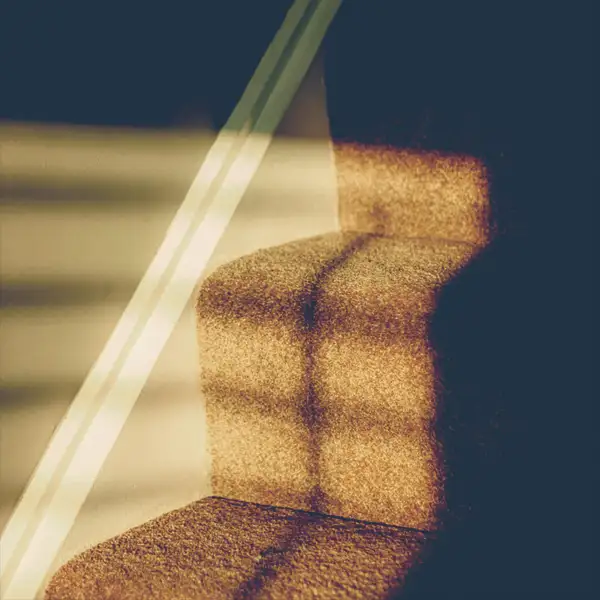 trap detail